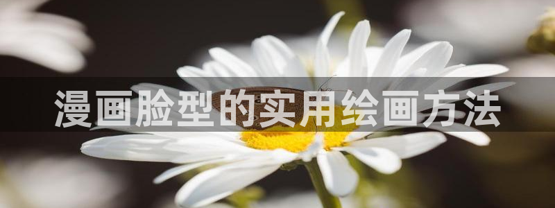 蛙趣漫画2：漫画脸型的实用绘画方法